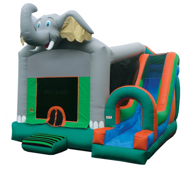 Bounce Houses W/Slide Rentals